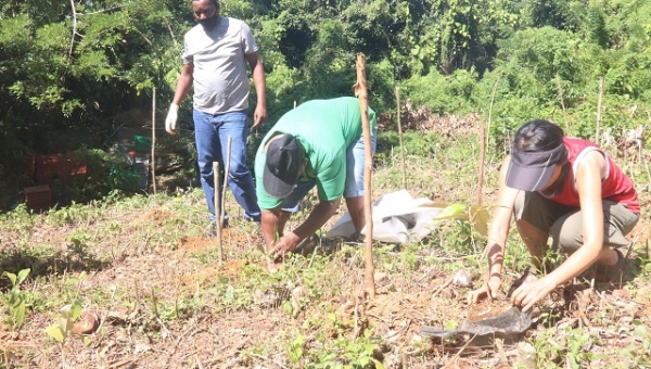 Seychelles' delegates to UN climate summit plant trees to offset carbon footprint of travelling to Glasgow