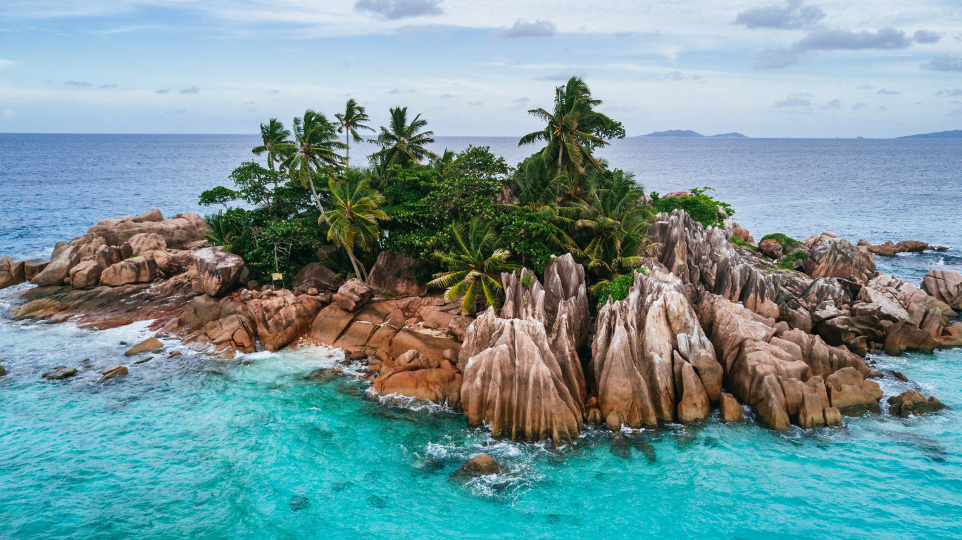 How Seychelles ocean plants could help tackle climate change